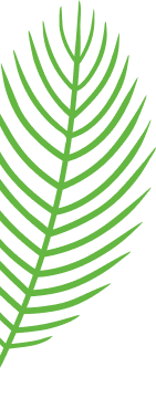 leaves_1_11