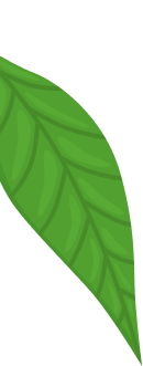 leaves_1_6