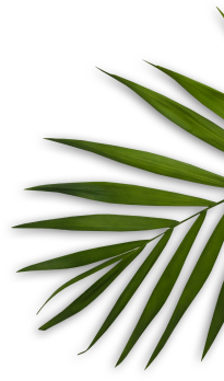 leaves_7
